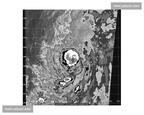 飓风vs极端天气对抗下的城市韧性与未来防灾挑战探索路径研究 飓风vs极端天气对抗下的城市韧性与未来防灾挑战探索路径研究
