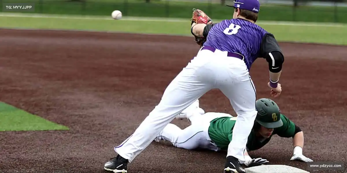 行业领先的理由